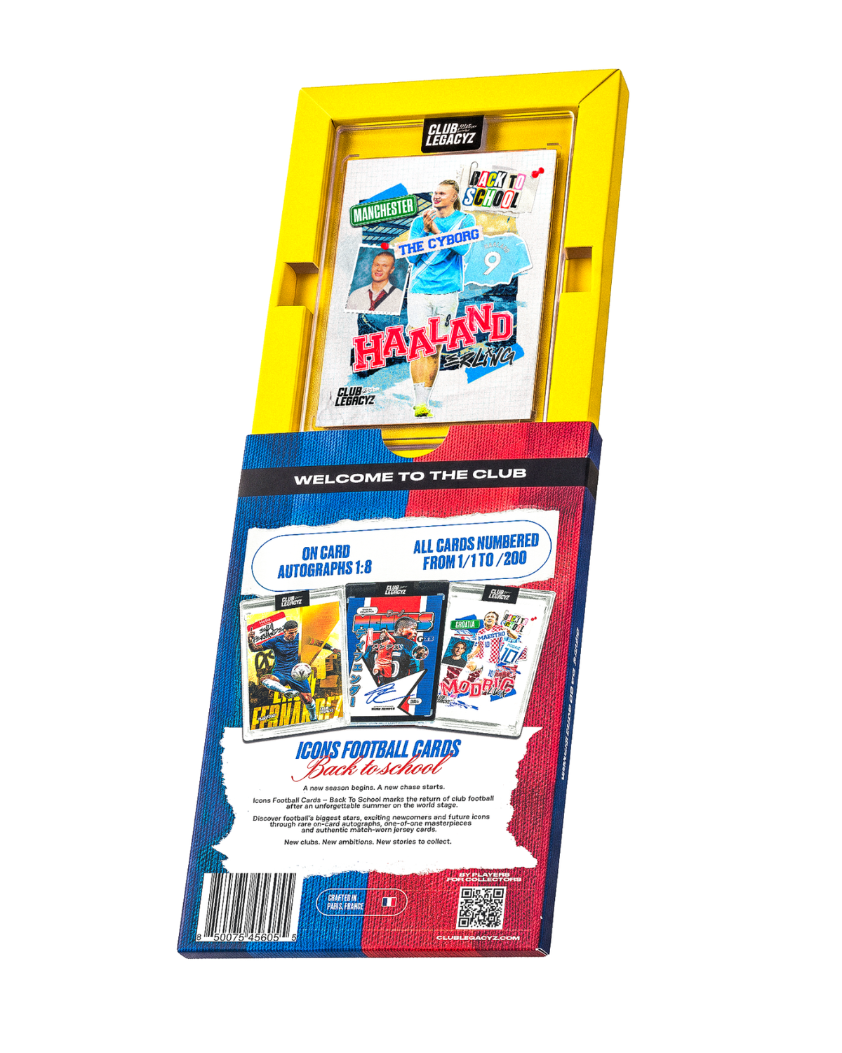 Minibox Icons 5 Back To School
